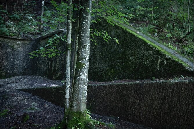 Berchtesgaden-Obersalzberg Private Half Day WWII Historical Tour - Why a Private Guide Makes WWII Sites Less Confusing