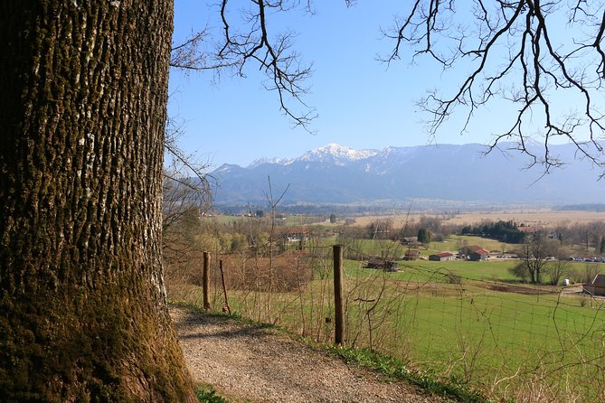 Dragon Slayer Way Beer Hike Food Experience Private Tour (departs Munich) - Dragon Slayer Way beer hike: a smart day trip with built-in variety