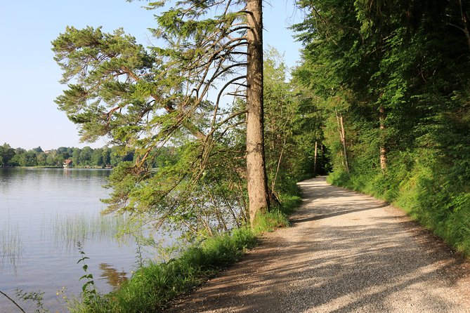 Dragon Slayer Way Beer Hike Food Experience Private Tour (departs Munich) - Pace and private group size: why this feels different than a big tour