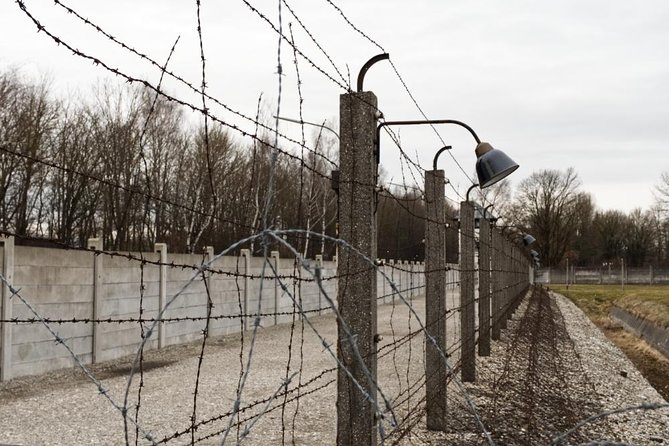 Early-Start Dachau Memorial Half-Day Tour from Munich - How the guide quality shapes the experience