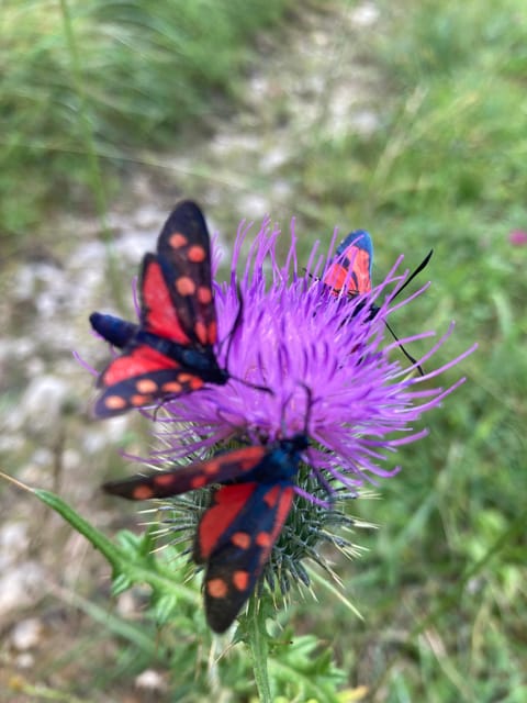 Ehrwald: Hiking Tour into breath taking Nature - A few practical tips before you go