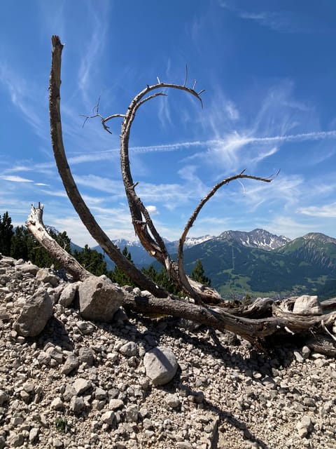 Ehrwald: Hiking Tour into breath taking Nature - Timing and pacing: a focused 2 hours, not a full-day commitment