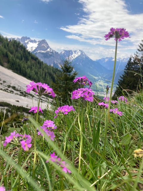 Ehrwald: Hiking Tour into breath taking Nature - Gear, clothing, and the small things that make the hike smoother