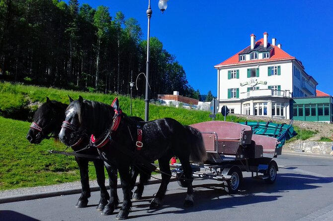 EXCLUSIVE 3 Royal Castle SKIP-THE LINE Tour of Neuschwanstein + Linderhof + Hohenschwangau from Munich - Oberammergau Town Time, Frescos, Theatre, and Wood Carvings