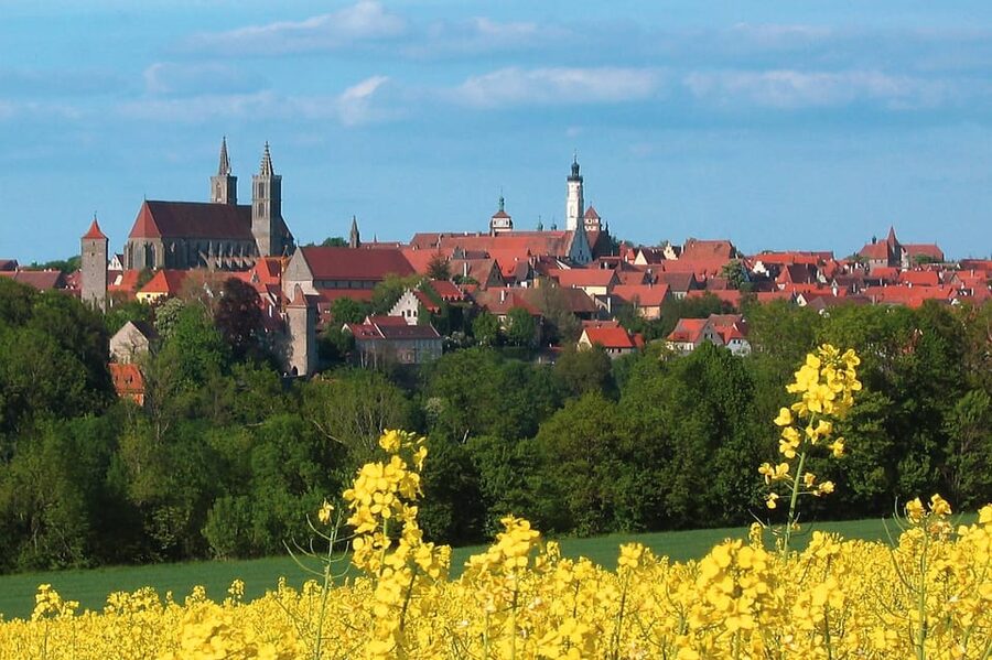 From Frankfurt: Rothenburg ob der Tauber Wine Tour - Why this Franconian wine and medieval-day tour works from Frankfurt
