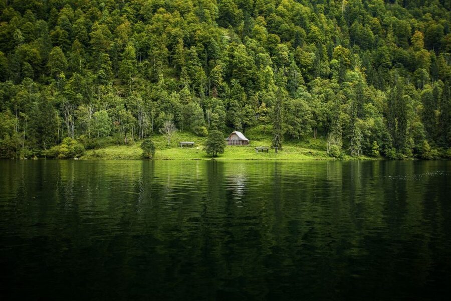 From Munich: Königsee Day Tour by Van - Skip-the-line tickets and why that small detail is big on busy days