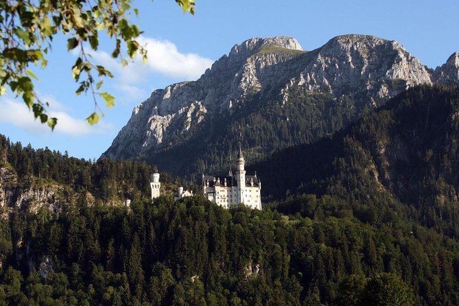 Half day tour private from Munich to Neuschwanstein Castle - Private Guide Expectations: Tour vs. High-End Taxi