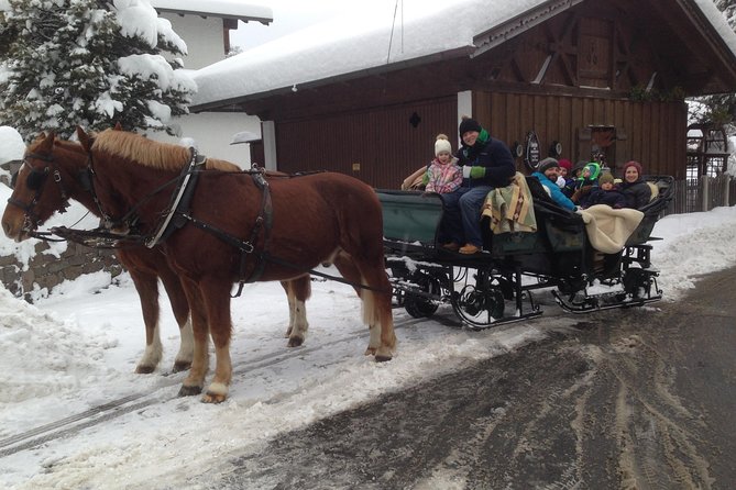 Horse Carriage Tour of Garmisch-Partenkirchen - Chocolatier Amelie first, warm up before you ride