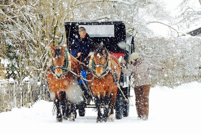 Horse Carriage Tour of Garmisch-Partenkirchen - One-hour private horse carriage ride, blankets and warm drinks