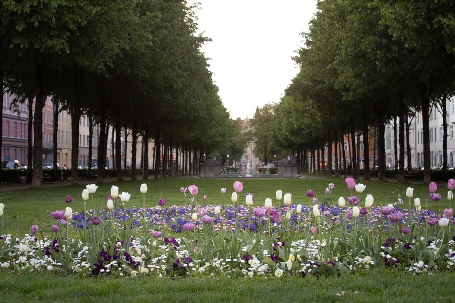 Munich: 3-Hour Food Tour Through Haidhausen in GERMAN - The French Quarter Segment: Seeing Another Side of Haidhausen