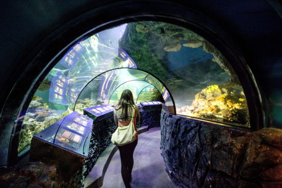 Munich: Day Ticket to Sea Life - Is $25 good value for Sea Life Munich?