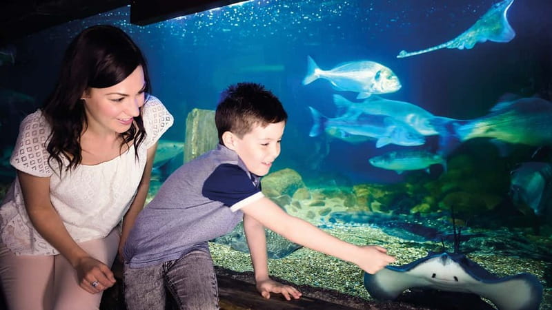 Munich: Day Ticket to Sea Life - From the Isar River to the Atlantic: how the habitats connect