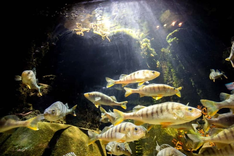 Munich: Day Ticket to Sea Life - Tropical Island area: snails, insects, and small surprises