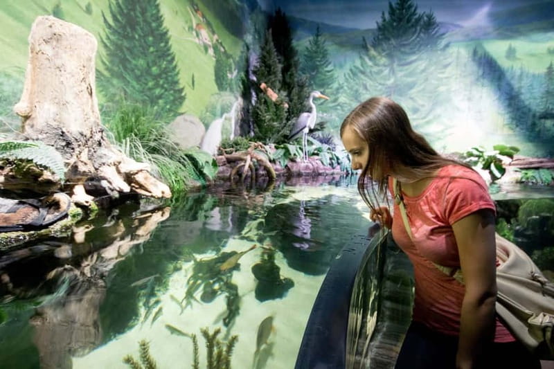 Munich: Day Ticket to Sea Life - Daily feedings and keeper talk: the show you should time your visit for