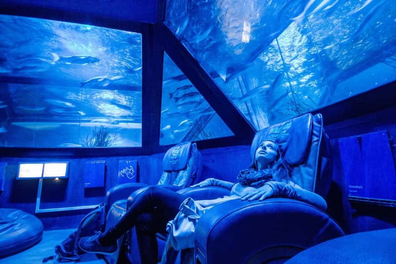 Munich: Day Ticket to Sea Life - Animal Crossing: New Horizons event (May 12 to June 29): what’s special