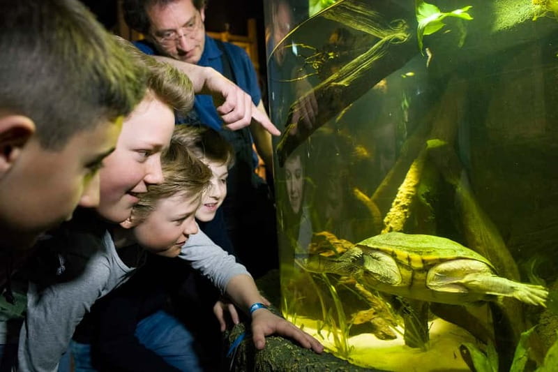 Munich: Day Ticket to Sea Life - How the aquarium is set up: 12 exhibition areas you can actually enjoy
