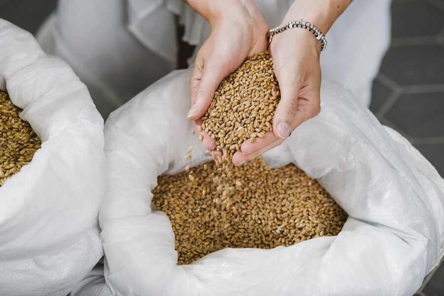 Munich: Hands-On Brewery Tour & Tasting of 4 Organic Beers - Why Munich’s certified organic brewery tour is more than a beer stop