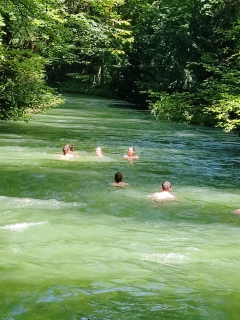Munich: Mini Classic Bike Tour with Beer Garden Stop at 4 PM - Odeonsplatz to Hofgarten: How They Keep the First Part Easy