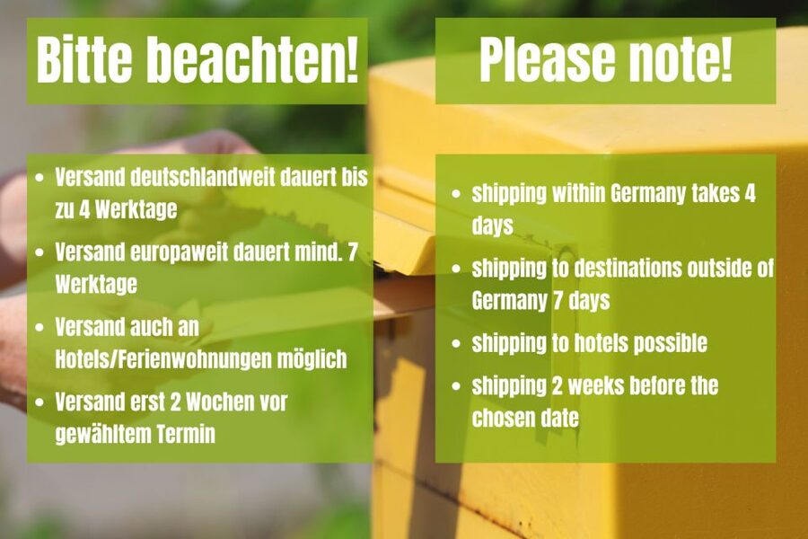 Munich: Scavenger Hunt Self-Guided Tour - Price and what you really get for $52 per group