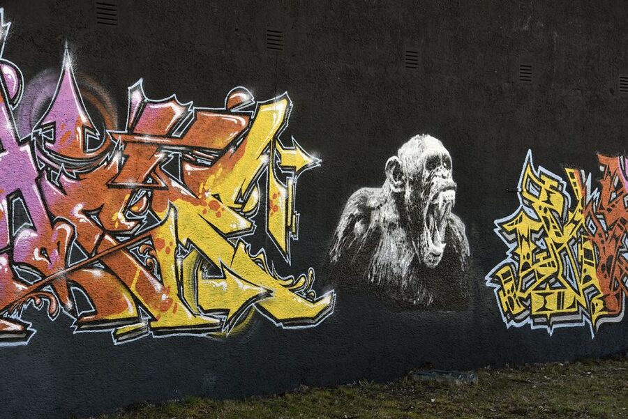 Munich: Street Art Bike Tour - Giesing: Leaving the Tourist Comfort Zone