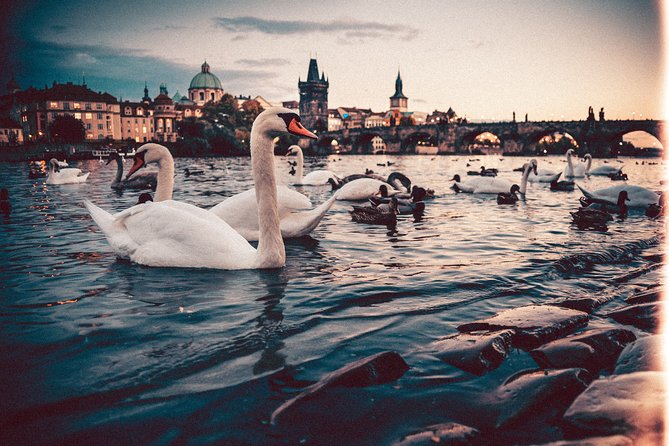 Munich to Prague - Private Transfer with 2 hours of Sightseeing - Practical Tips Before You Book