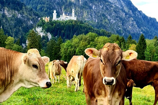 Neuschwanstein Castle, Ettal Abbey and Oberammergau Private Tour from Munich - Ettal Abbey in a short stop, what you will notice in 30 minutes