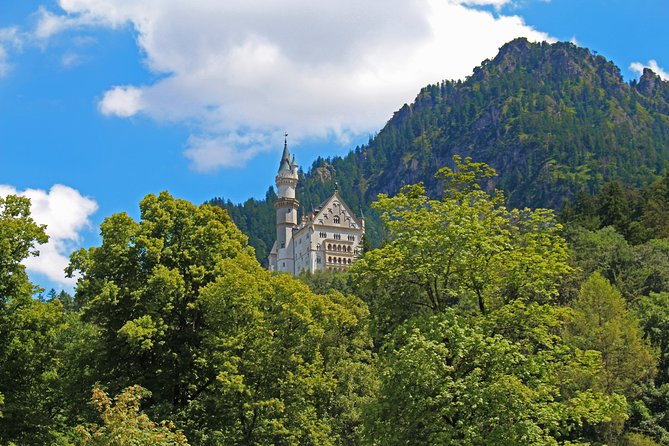 Neuschwanstein Castle Tour from Munich - The Uphill Reality: Walking Time, Stairs, and the Horse-Carriage Option