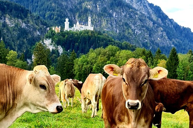 Neuschwanstein Castle Tour with Skip the Line from Hohenschwangau - Walking Up to Neuschwanstein, With a Guide to Make It Click