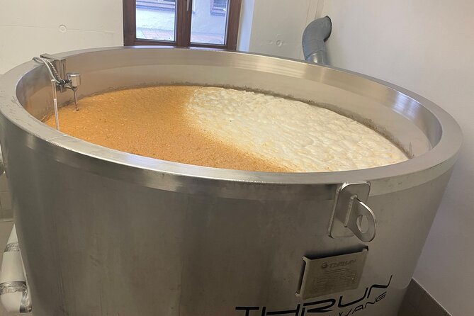 Private Neuschwanstein Castle and Brewery Tour - Who should book this private castle and brewery tour