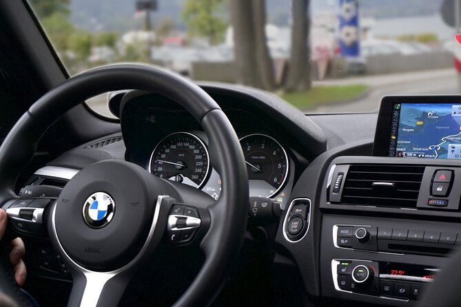 Private Tour from Munich to Salzburg with English Speaking Driver - Drivers, English, and what to expect from “private” guidance