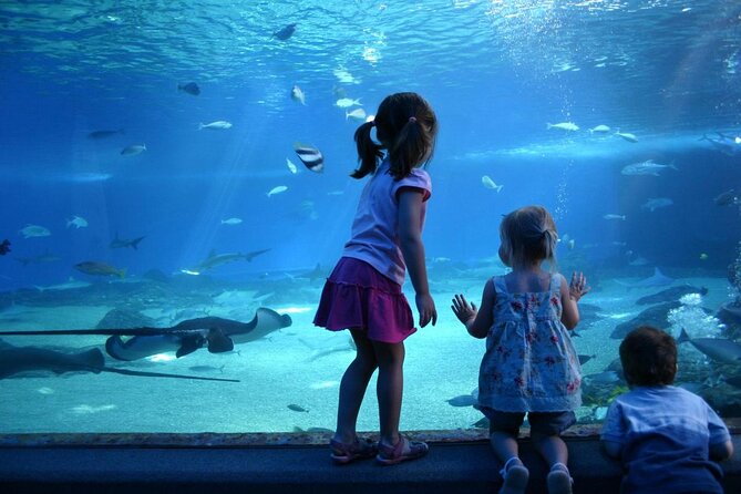 SEA LIFE Munich Admission Ticket - Where SEA LIFE Munich is, and what the ticket actually covers