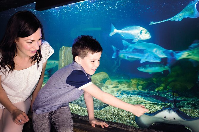 SEA LIFE Munich Admission Ticket - Timing, crowds, and why 1 to 2 hours can turn into 30 minutes