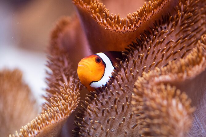 SEA LIFE Munich Admission Ticket - Family value: why kids usually have the best time