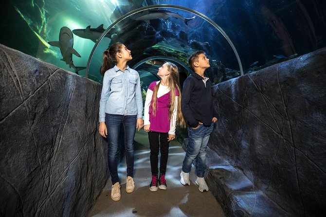 SEA LIFE Munich Admission Ticket - What to watch for inside: viewing angles, space, and facilities