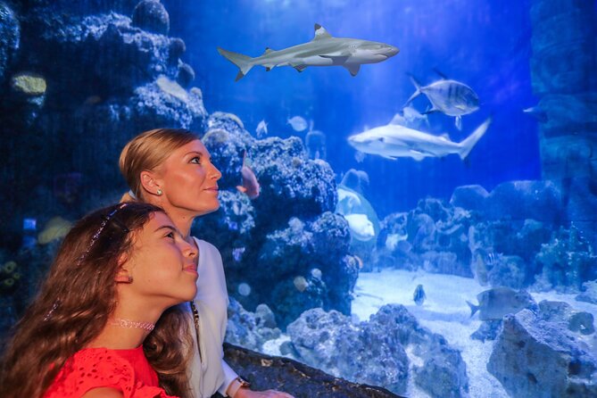 SEA LIFE Munich Admission Ticket - The themed habitats that make the walk-through more than just sharks