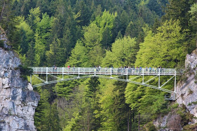 Skip The Line Neuschwanstein Castle Tour from Hohenschwangau - The Horse Carriage Ride Down: A Fun Finish That Also Helps