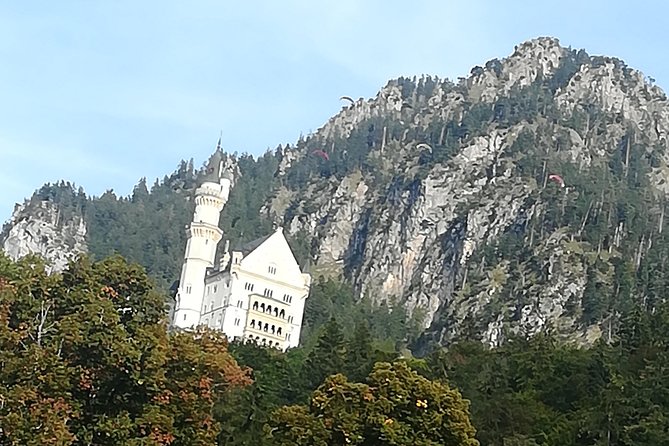 Skip-the-Line Neuschwanstein Castle Tour from Munich - Getting to the castle area: walk, bus, or horse carriage
