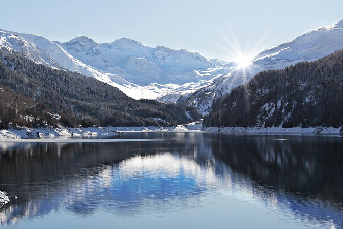 Winter Tour to Neuschwanstein Castle from Munich - Guides and Drivers, and Why That Matters